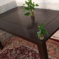 فروش میز غذاخوری  دست دوم
