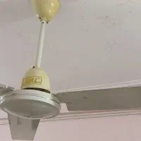 پنکه سقفی
