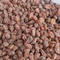 خرید و فروش خشکبار