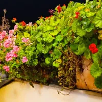 ویلای لوکس ۲۵۰متری با امکانات کامل رفاهی|اجارهٔ کوتاه‌مدت آپارتمان و سوئیت|شیراز, شهرک بهشتی|دیوار