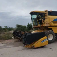 گندم آفتاب فروشی دیم