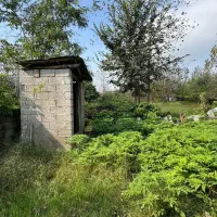 خانه روستایی 260 متری با 50 متر بنا و امتیازات|فروش خانه و ویلا|خمام, |دیوار