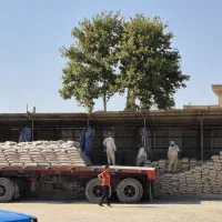 سیمان عمده فارس دشتستان فیروزآبادهرمزگان نیریزسپهر|عمده‌فروشی|شیراز, گلشن|دیوار