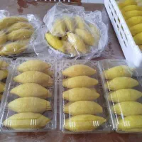 کبه با بهترین کیفیت فقط فقط با گوشت گرم گوساله