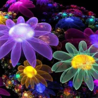 حدودا دویست عدد سیدی مجاز