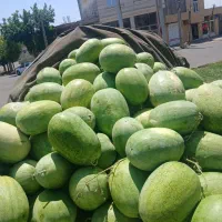 هریس|خوردنی و آشامیدنی|مهربان, |دیوار