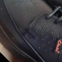 کفش نونومردانه ۴۴|کیف، کفش، کمربند|کلیبر, |دیوار