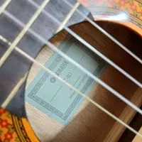 گیتار c40|گیتار، بیس، امپلیفایر|تهران, شوش|دیوار