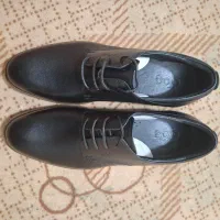 کفش افاق شماره 43