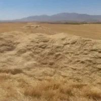 کاه