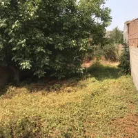 ۲۸۰ متر زمین مسکونی ۴دیواری سند دار ویو جنگل|فروش زمین و ملک کلنگی|رستمکلا, |دیوار