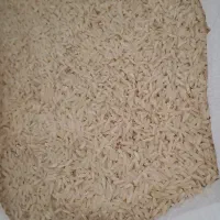 برنج هاشمی درجه 1