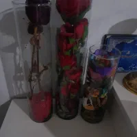 سه تاگل دگوری