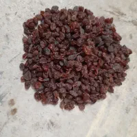 کشمش آفتابی درجه یک