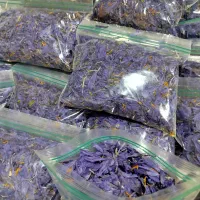 گلبرگهای خشک شده زعفران|خوردنی و آشامیدنی|نورآباد, |دیوار