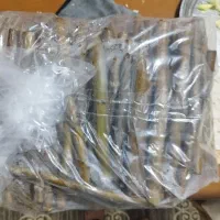 تعدادی محدود  پیوندک گردو