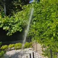 خدمات باغ و باغبانی|خدمات باغبانی و درختکاری|محمدشهر, همایون ویلا|دیوار