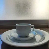 بشقاب شش تایی زرین و فنجان نعلبکی توس