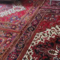 فرش دستباف پروانه|فرش|مراغه, |دیوار