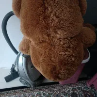 عروسک خرسی|اسباب‌بازی بچه|پرند, فاز ۶|دیوار