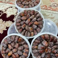 عرضه مستقیم خرما های درجه یک