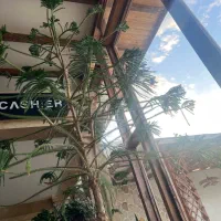 جذب کمک آشپز کافه و رستوران