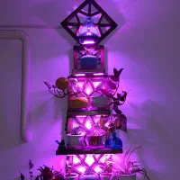 شلف دیواری چوبی طرح سنتی همراه چراغ|کتابخانه، شلف، قفسههای دیواری|تبریز, |دیوار