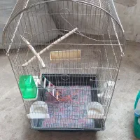 قفس|لوازم جانبی حیوانات|جوکار, |دیوار