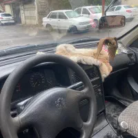 پژو ۴۰۵ مدل ۸۳