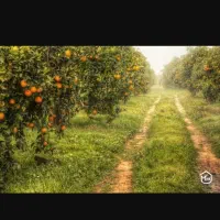 استخدام نگهبان جهت باغ میوه