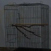 قفس پرنده