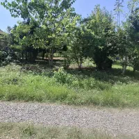 فروش زمین مسکونی 450متری /جاده کیاشهر /تونل جنگلی|فروش زمین و ملک کلنگی|کیاشهر, |دیوار