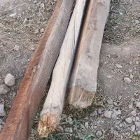 چوب ذغالی|خدمات باغبانی و درختکاری|مبارکه, |دیوار