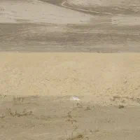 کاه کوبیده کمباین۹۰۰۰تومان