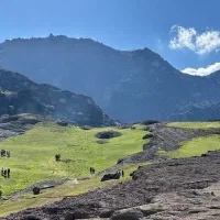 زمین کشاورزی دیم