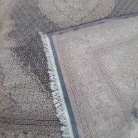 فرش 9متری|فرش|گلستان (تهران), |دیوار