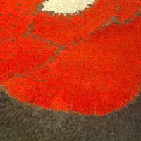 گلیم فرش|گلیم، جاجیم، گبه|اهواز, ۲۵۴دستگاه|دیوار