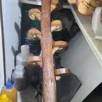 باکس تنه درخت باکس تنه درخت جهت باغ رستوران و منزل