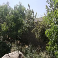 باغ باغچه300متری ارامگاه فرودستی روستای نجم|فروش خانه و ویلا|مشهد, توس (بلوار توس)|دیوار