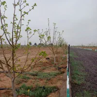 باغستان ۵ ستاره مامونیه|فروش زمین و ملک کلنگی|تهران, فردوس|دیوار