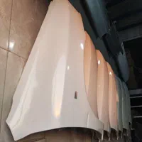 گلگیر و کاپوت پراید رنگ شده سفید|قطعات یدکی و لوازم جانبی|ایلام, |دیوار