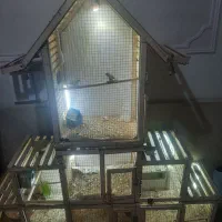 قفس بزرگ خوشگل|لوازم جانبی حیوانات|سبزوار, ولیعصر (نجار آباد)|دیوار