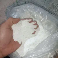 شن شور مخصوص پرنده|لوازم جانبی حیوانات|شیراز, کوشک میدان|دیوار