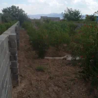 باغچه چهار دیواری|فروش خانه و ویلا|تهران, شهرک شریفی|دیوار