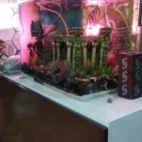 آکواریوم لوکس