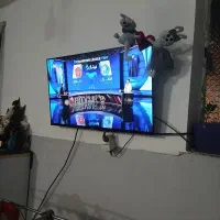 تلویزیون هوشمند۴۳اسنوا
