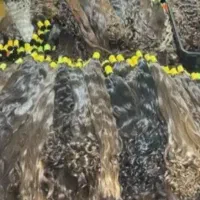 فروش مو خریدار اصلی