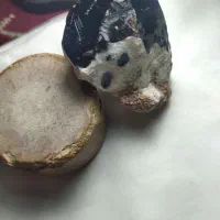 سنگ|کلکسیون اشیاء عتیقه|قم, شهدا|دیوار