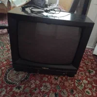 تلویزیون