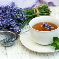 جذب نیروی بانو درطب سنتی با اخذمدرک|استخدام بازاریابی و فروش|شیرگاه, |دیوار